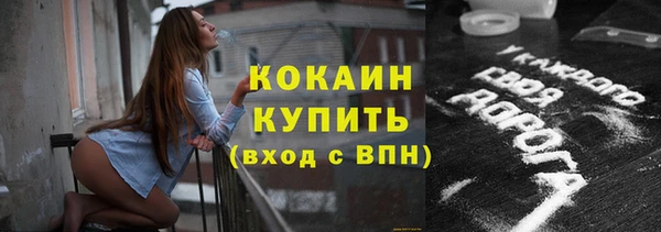 дмт Киреевск
