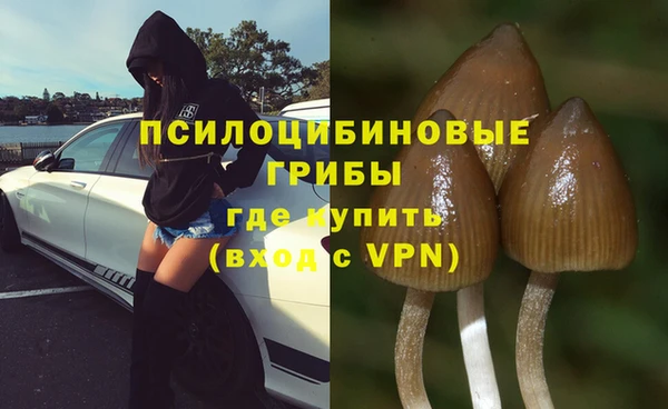 ГАЛЛЮЦИНОГЕННЫЕ ГРИБЫ Карталы