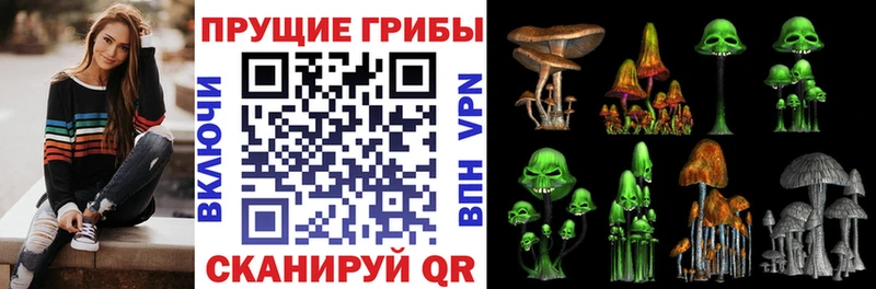 Галлюциногенные грибы Cubensis  Купить  Пикалёво 