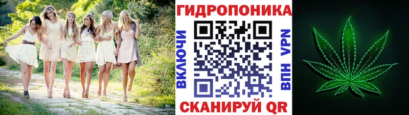 Купить закладки  Пикалёво  Бошки Шишки сатива 